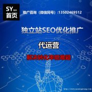 做了谷歌SEO优化，网站关键词排名仅次于amazon